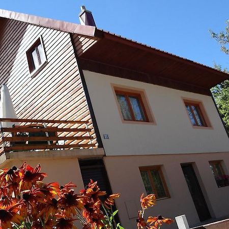 Guest House Milena Zabljak  Ngoại thất bức ảnh